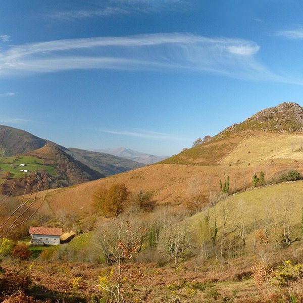 Katarri