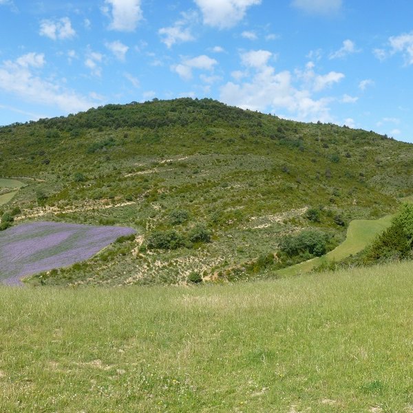 Kazteluxar mendia