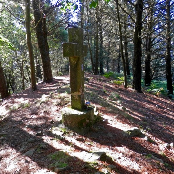 Gurutzea