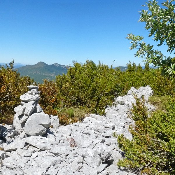 Zurazkungo gailurra