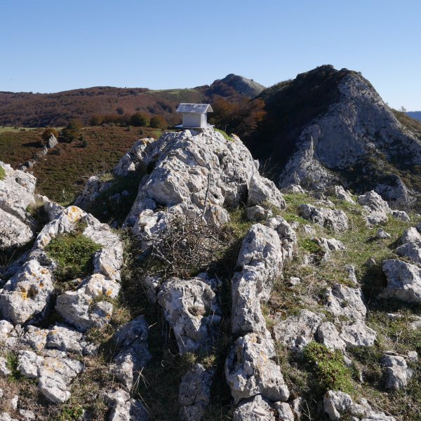Tontorra