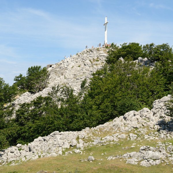 Tontorra