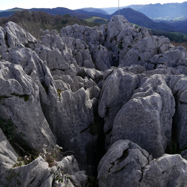 Tontorra
