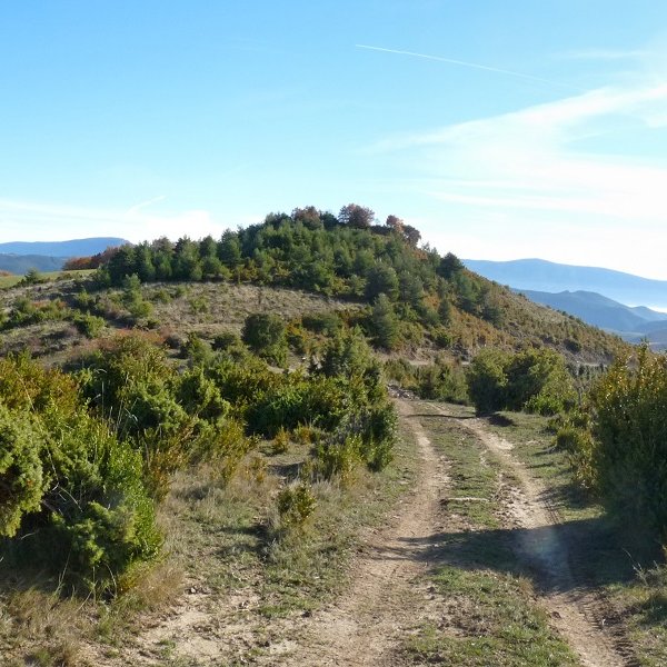 San Kristobal gaina