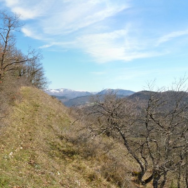 Iturzubiko gandorra