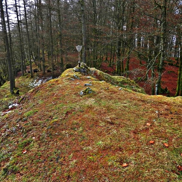 Tontorra