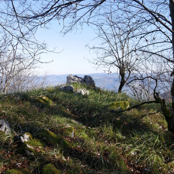 Tontorra