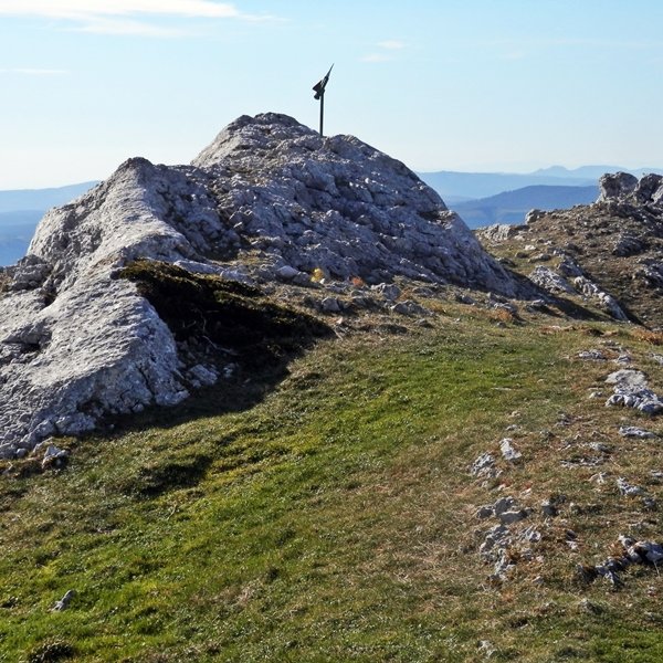 Tontorra