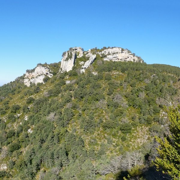 Lezapeko harriak