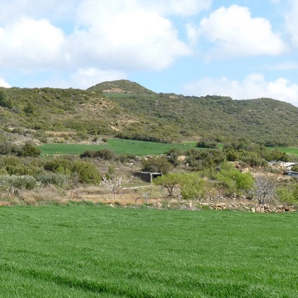 Pena gaina