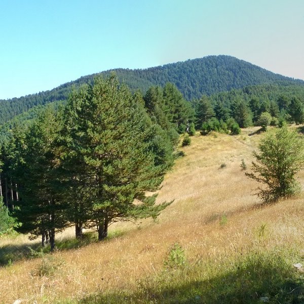 Igardakua