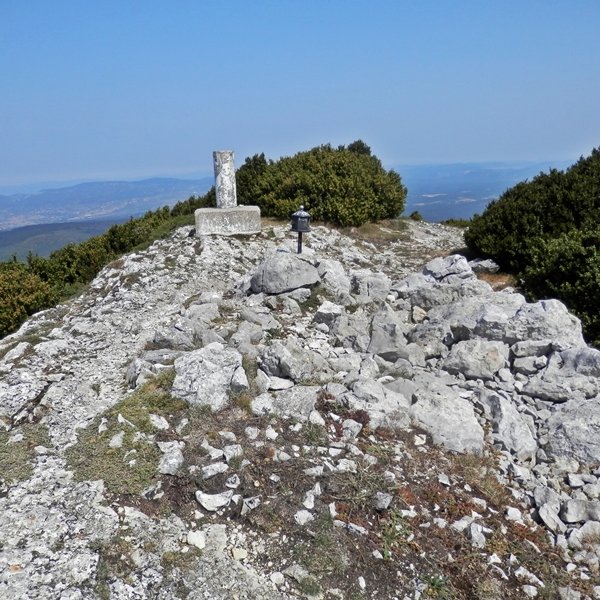Tontorra
