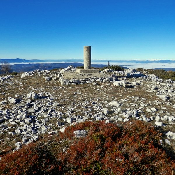 Tontorra