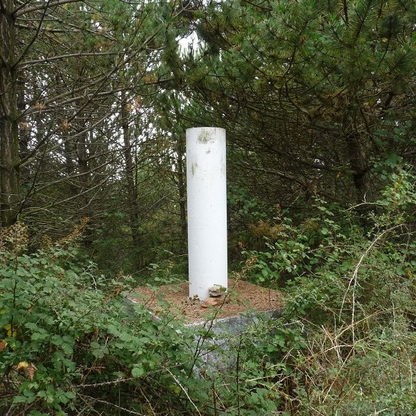 Gailurra