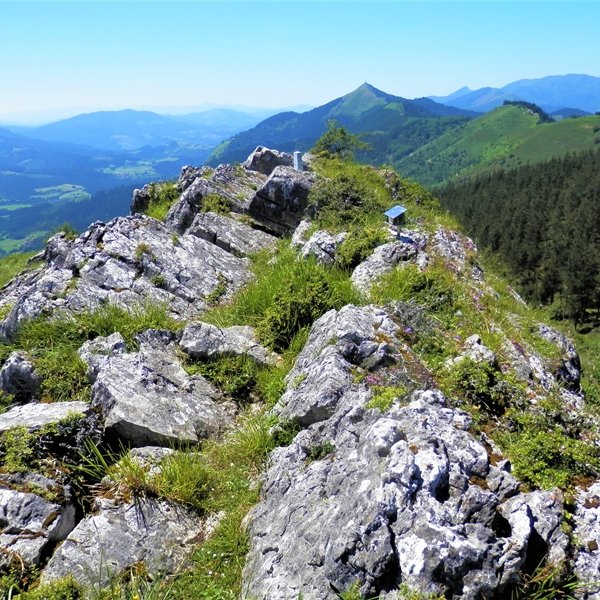 Tontorra