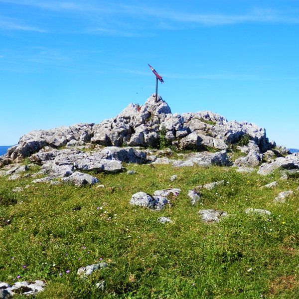 Tontorra