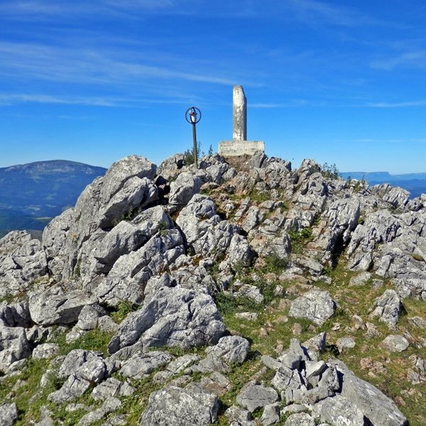 Tontorra