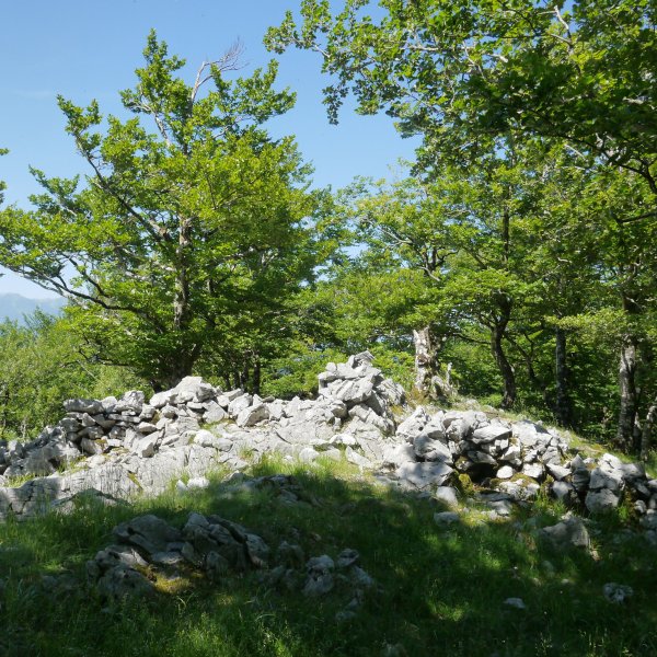 Okabio tontorra