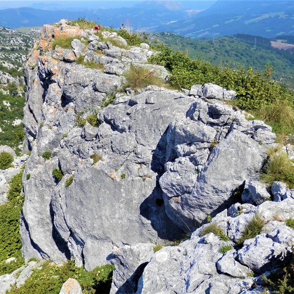 Tontorra