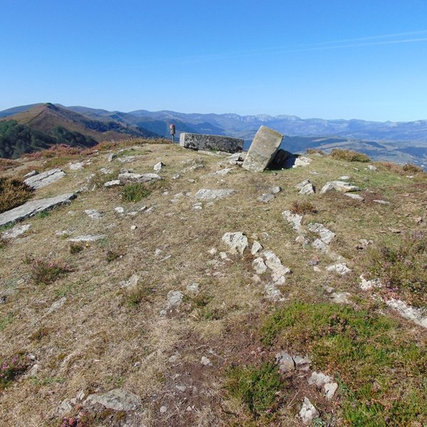 Tontorra