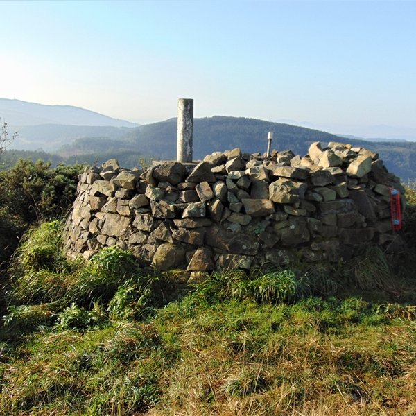 Tontorra