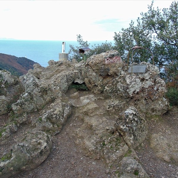 Tontorra