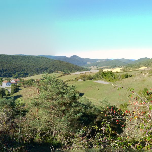 Etsain herria