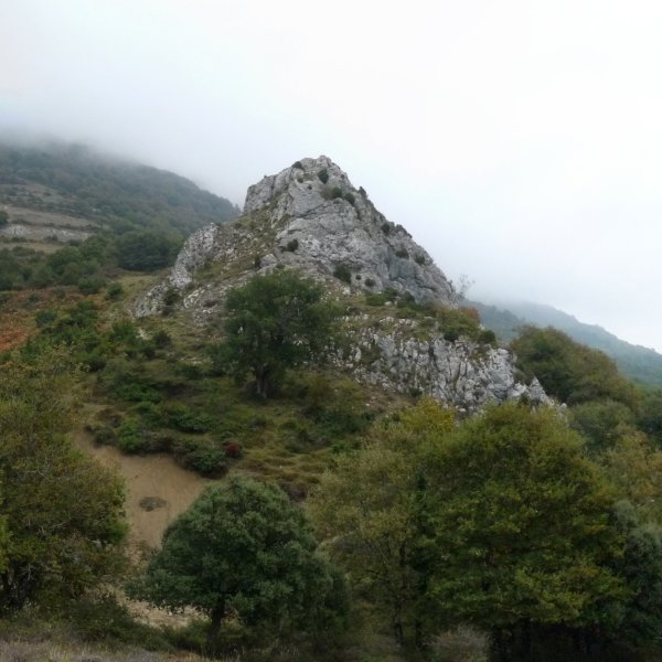 Allegain