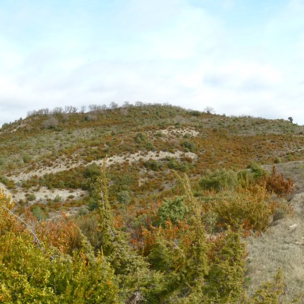 Monte Pequeño