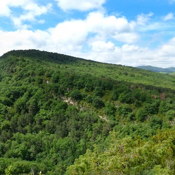 Monte Pequeño