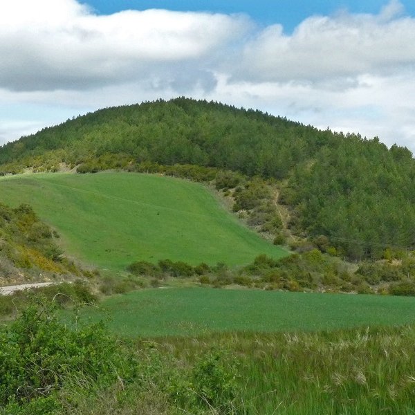 Burdisibar