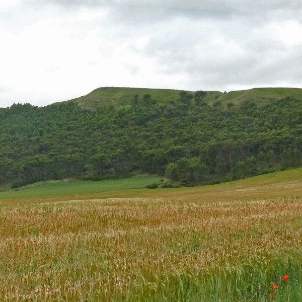 Kortabakoitz