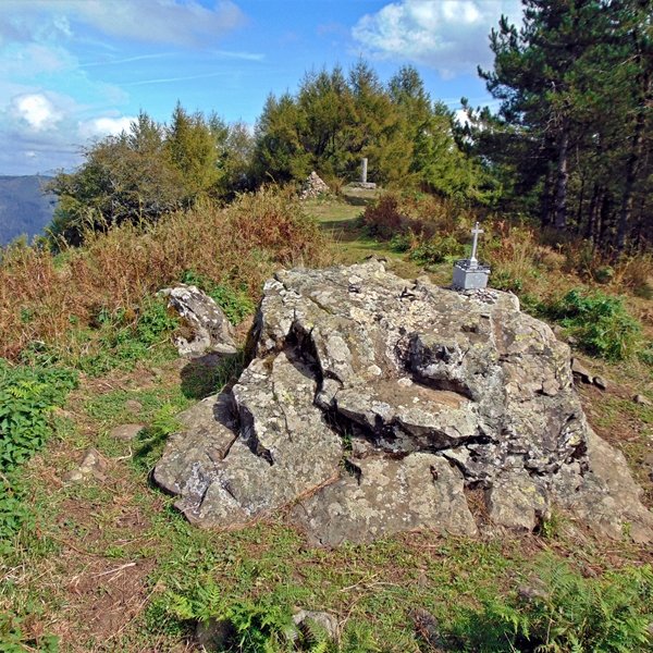 Tontorra