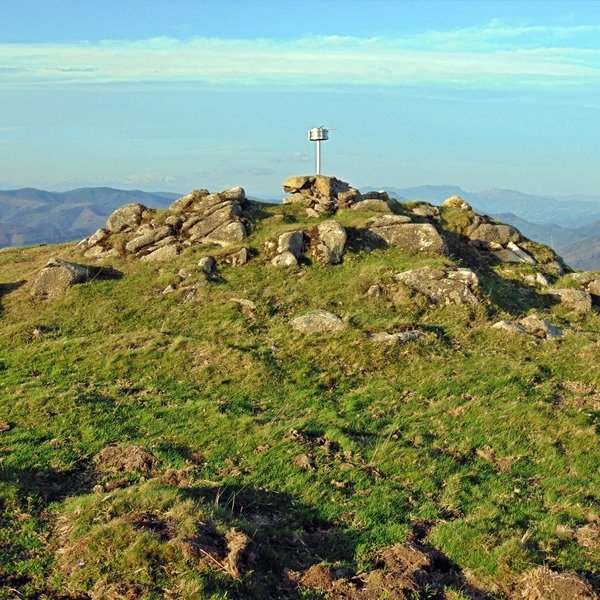 Tontorra
