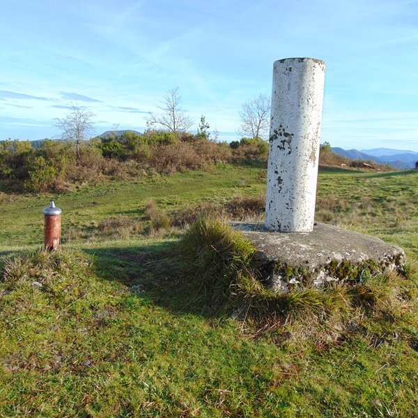 Tontorra