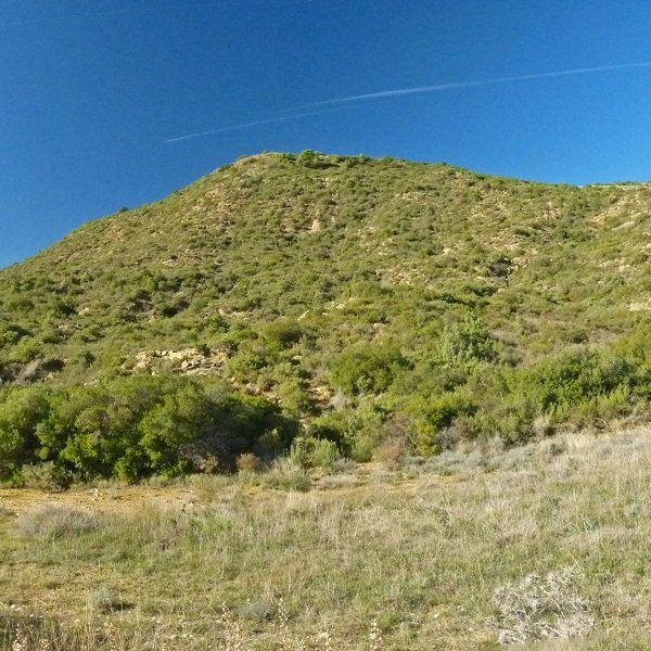 Covaza