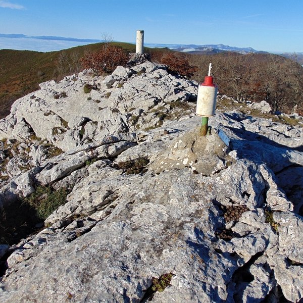 Tontorra