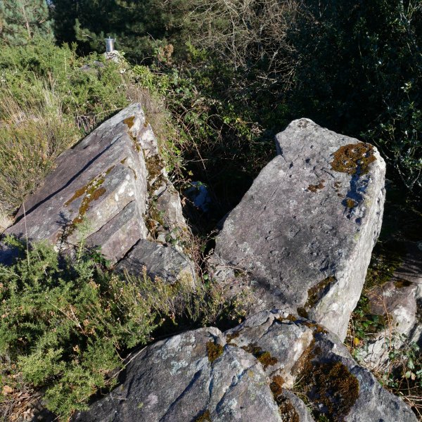 Tontorra, Muntto
