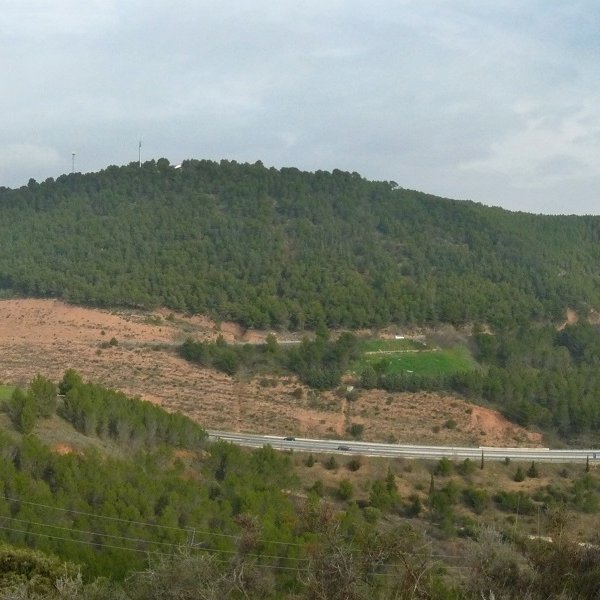 Santa Barbara