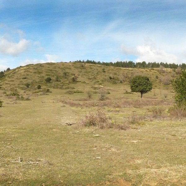 Mendibela