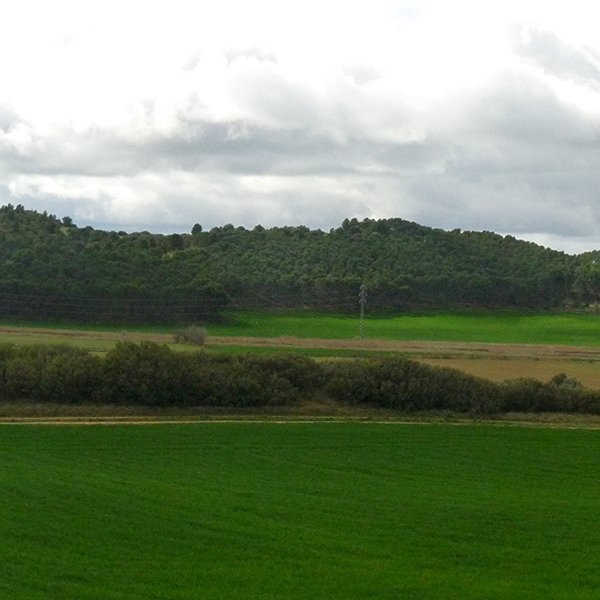 Valmediano