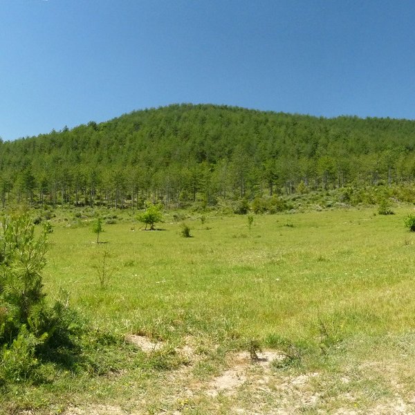 Karrazketa