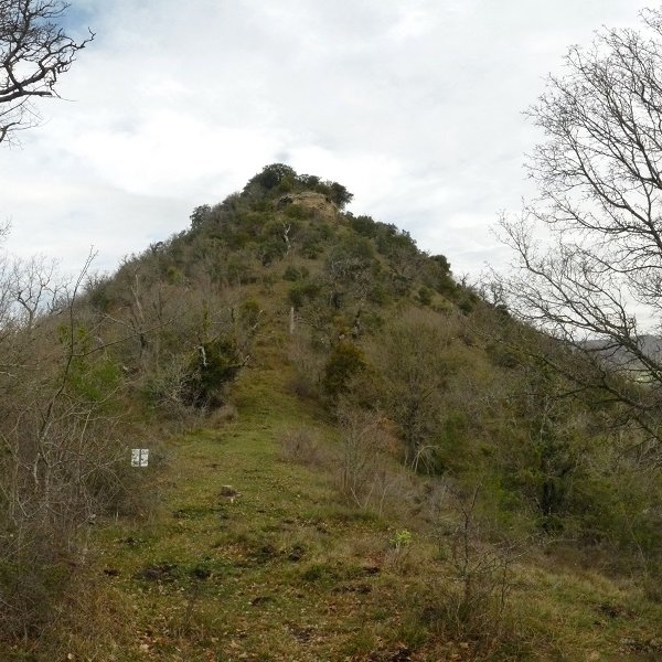 Arikomendi
