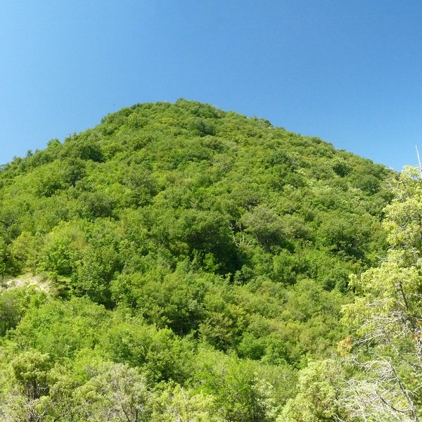 Surgurin
