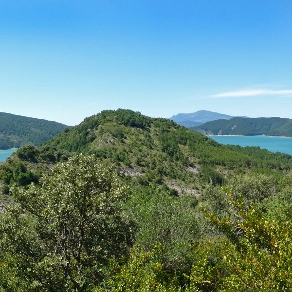 Moriskoa