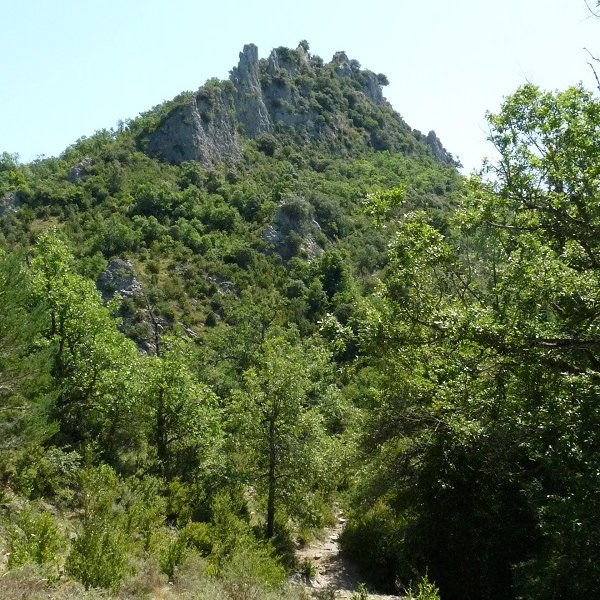 Sandoaingo harriak