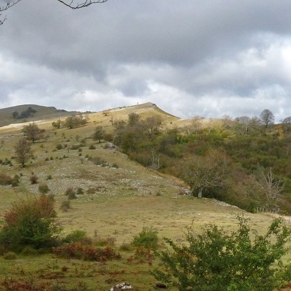 Akarrate
