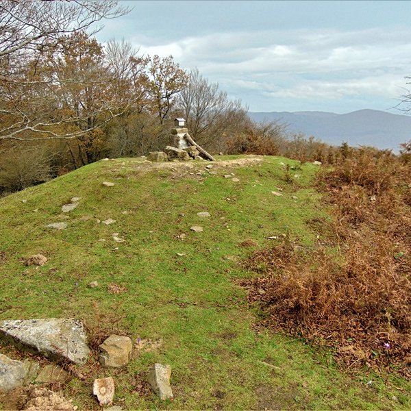 Tontorra