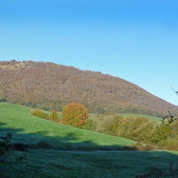 Epaizburu