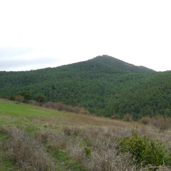Oiartzabal